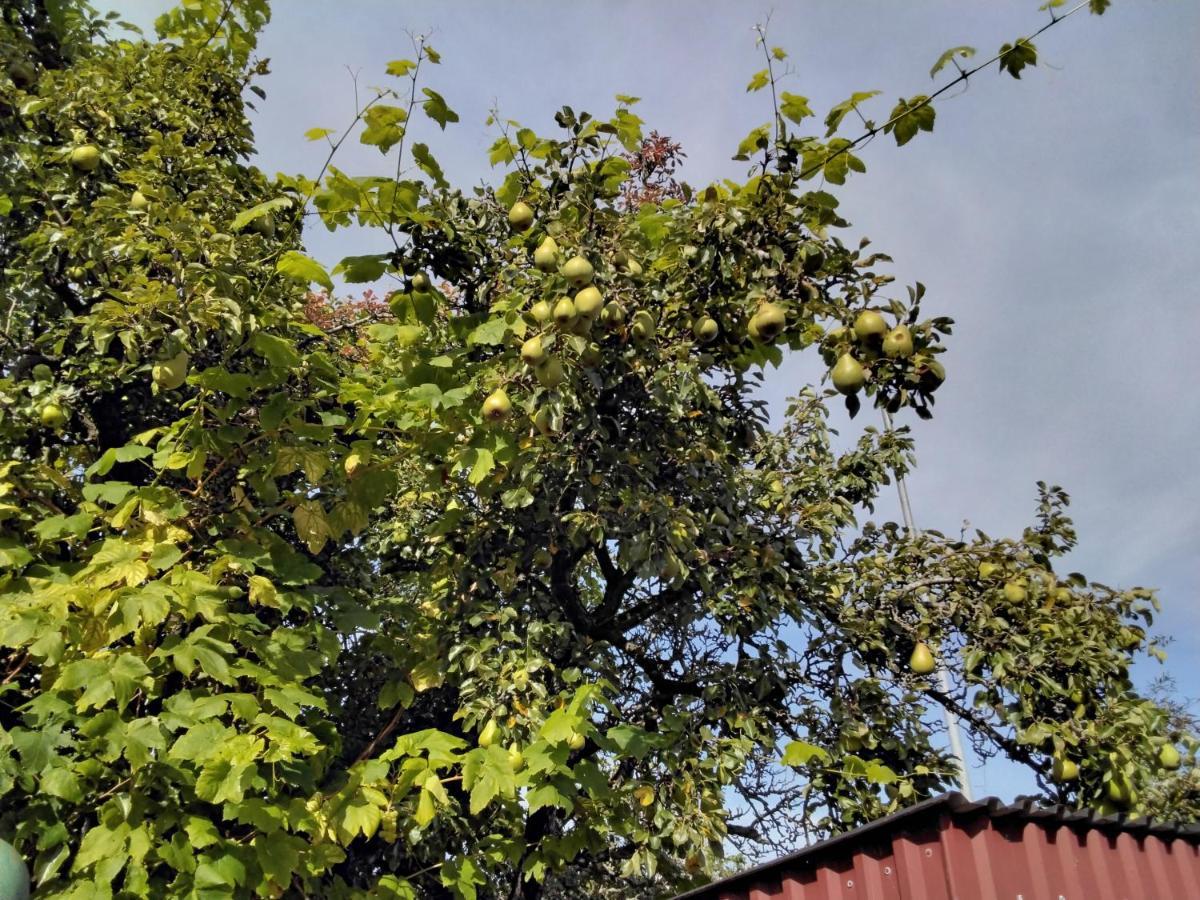 Apartmán Bo I Trelleborg Exteriér fotografie
